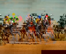 Louth Races