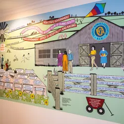 CWA of NSW Guesthouse Opening